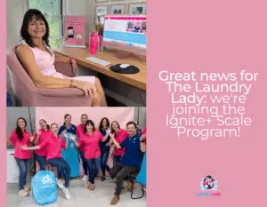 The Laundry Lady - Ignite Scale Program