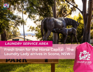 Pickup and delivery laundry services Scone, NSW